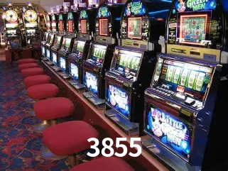 Descubra o Mundo do Cassino Online com 3855